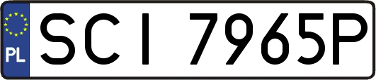 SCI7965P