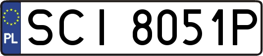 SCI8051P