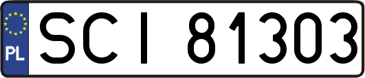 SCI81303
