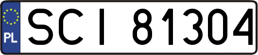 SCI81304