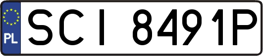 SCI8491P