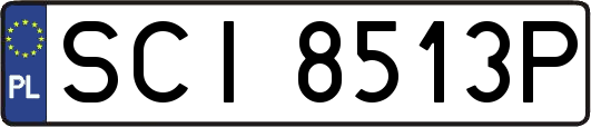 SCI8513P