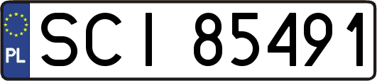 SCI85491