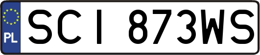 SCI873WS