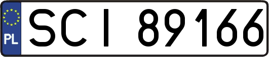 SCI89166