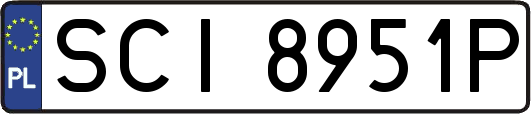 SCI8951P