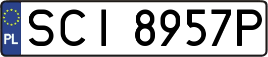 SCI8957P