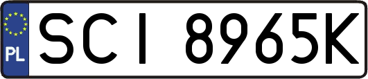 SCI8965K