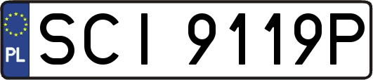 SCI9119P