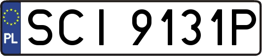 SCI9131P