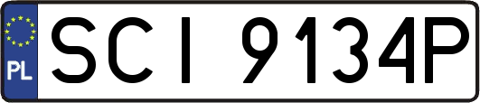 SCI9134P