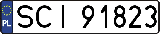 SCI91823