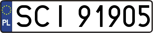 SCI91905