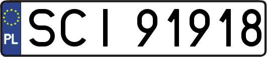 SCI91918