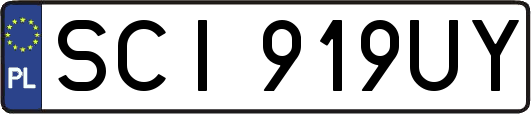 SCI919UY