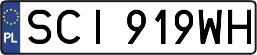 SCI919WH