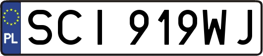 SCI919WJ