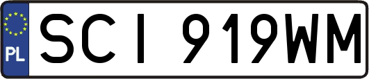 SCI919WM