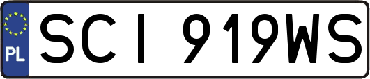 SCI919WS