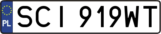 SCI919WT