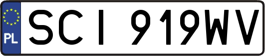 SCI919WV
