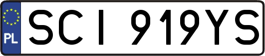 SCI919YS