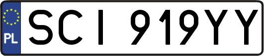 SCI919YY