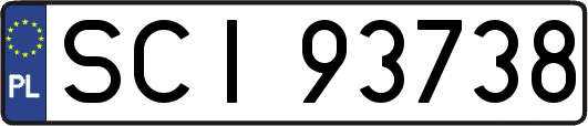 SCI93738