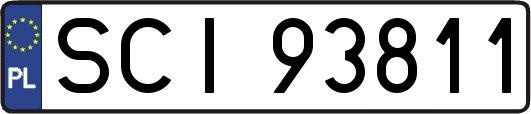 SCI93811