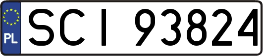 SCI93824