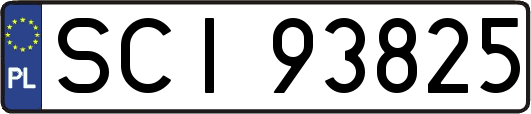 SCI93825
