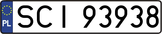 SCI93938