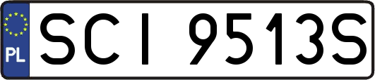 SCI9513S