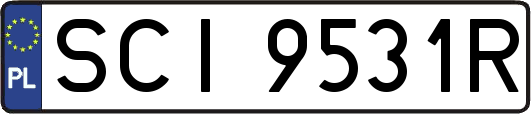 SCI9531R