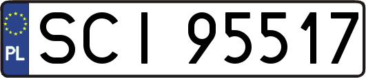 SCI95517