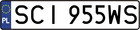 SCI955WS