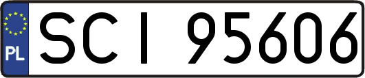 SCI95606