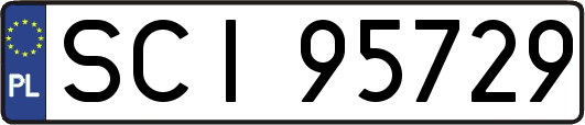 SCI95729