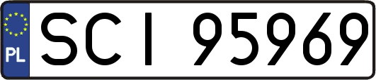 SCI95969