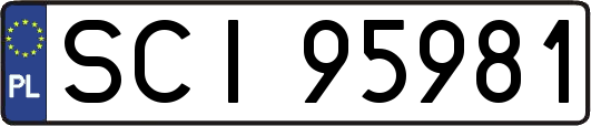 SCI95981