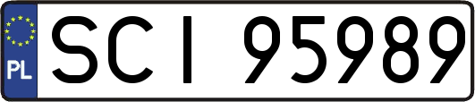 SCI95989