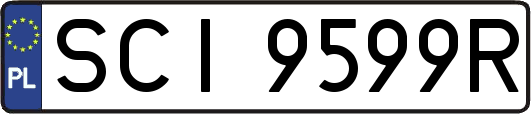 SCI9599R