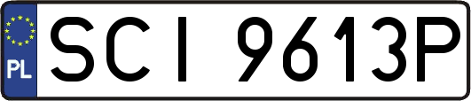 SCI9613P