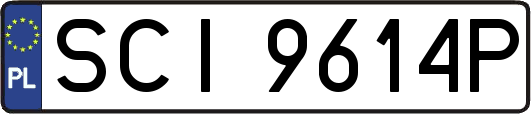 SCI9614P