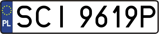 SCI9619P