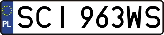 SCI963WS