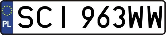 SCI963WW