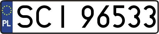 SCI96533