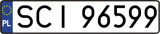 SCI96599