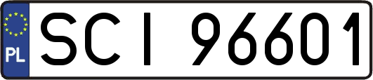 SCI96601